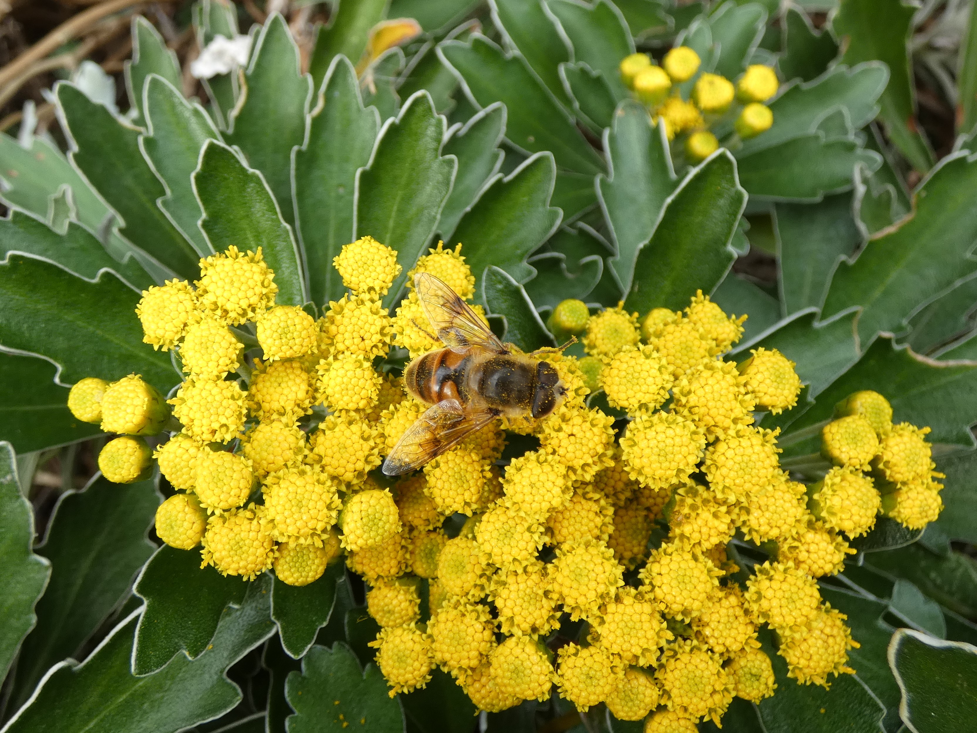 photo_1
